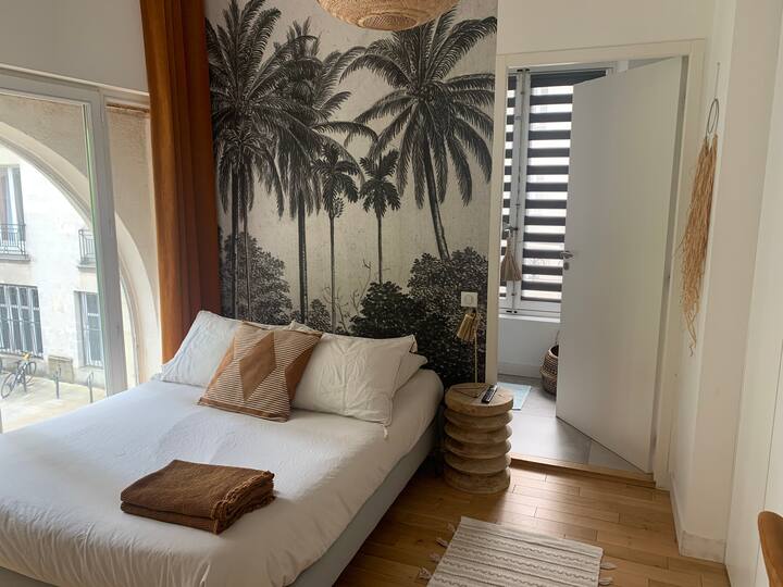 Room in the heart of Nantes, Place Royale Apartments for Rent in