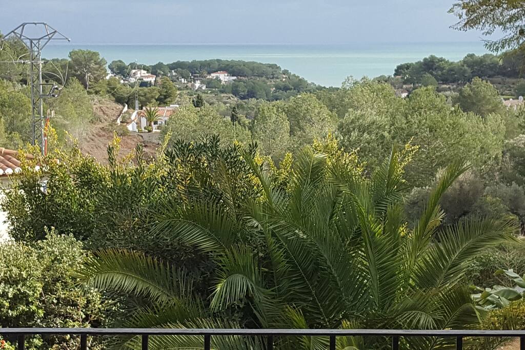 SEE VIEW FROM THE TERRACE