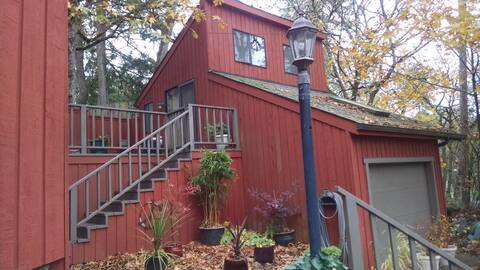 TreeTop  Studio