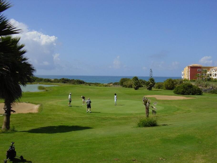 Campo de golf