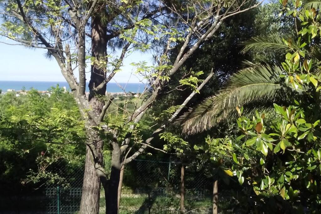 Vista giardino lato nord-est . Distanza tra la casa ed il mare. Sullo sfondo Porto Recanati.