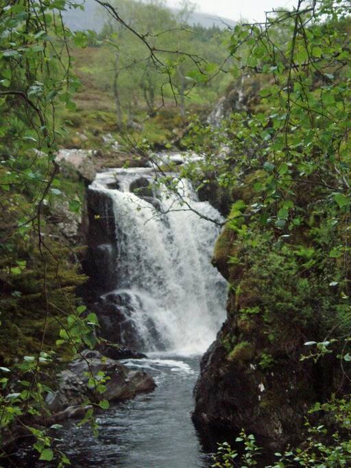Nearby Pattick Falls