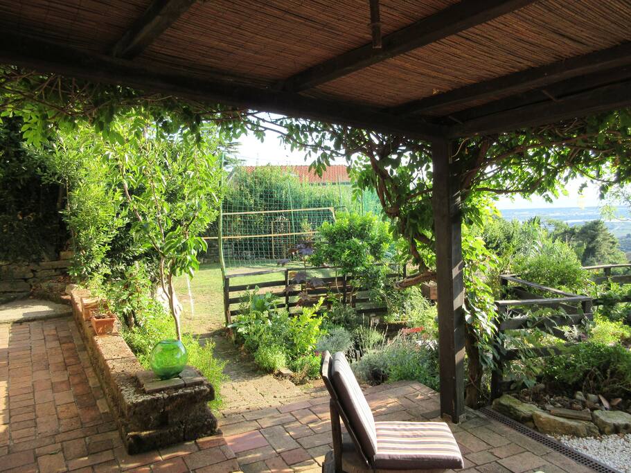 Terras+play yard