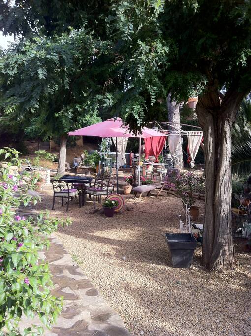terrasse ombragée par deux pins centenaire