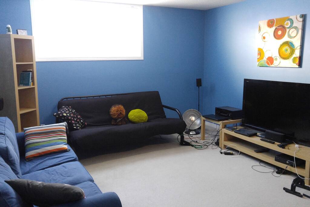 Living room (Basement)