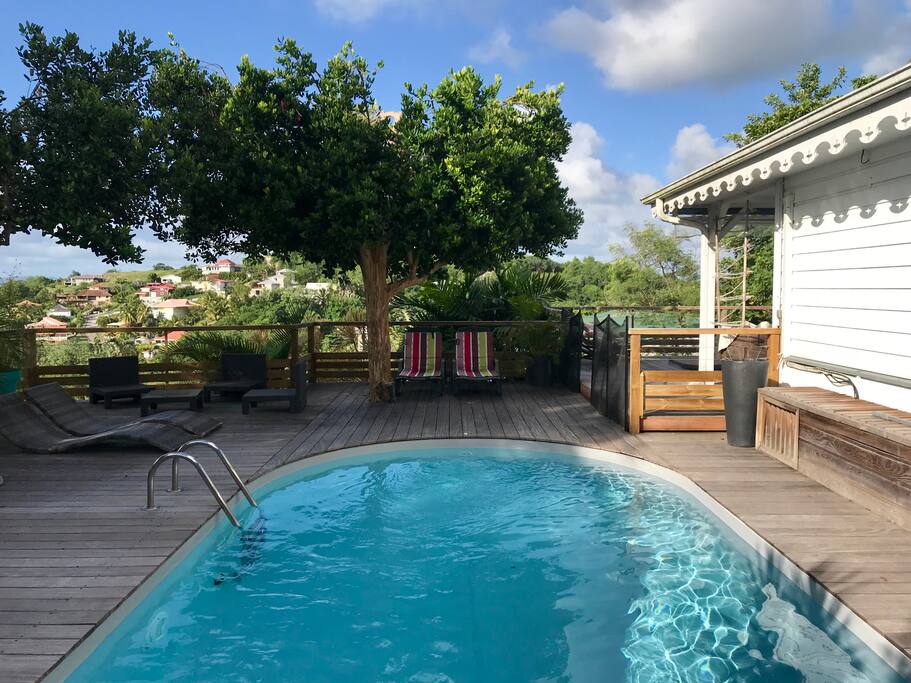 Piscine avec carbet, hamac et chaises longues pour se détendre