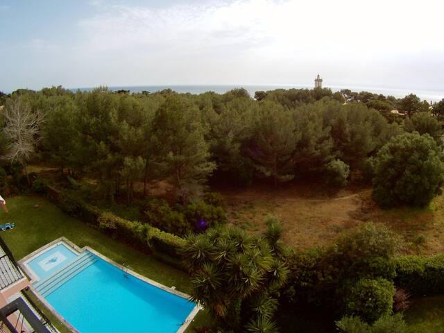 Ocean view, in a cool 3dr apart w/ pool in Cascais gallery image 3