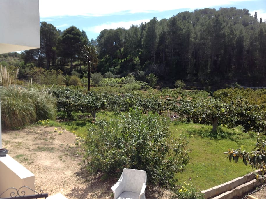 Silence Garden