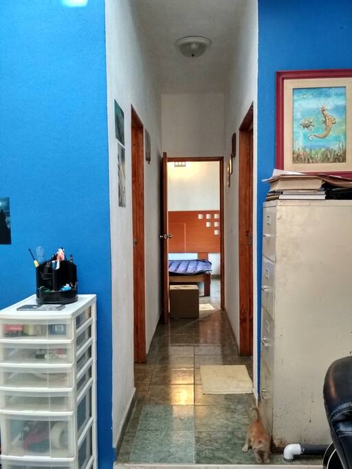 Second Floor