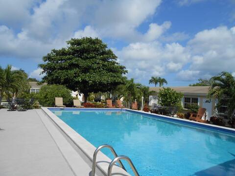 Cozy 1 bdr Den w Pool Condo