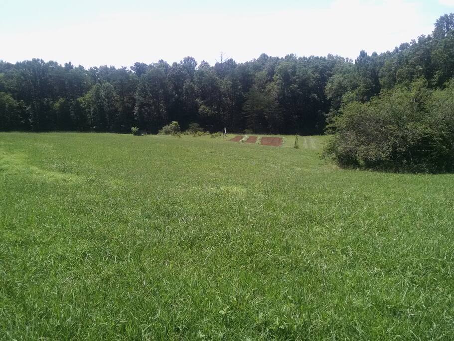 campsite#3 is just past garden on rt
