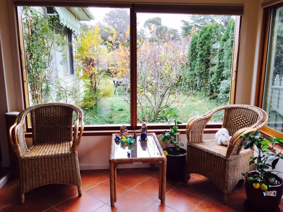 Autumn in the sunshine room
