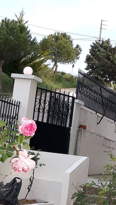 Entrance to the apartment