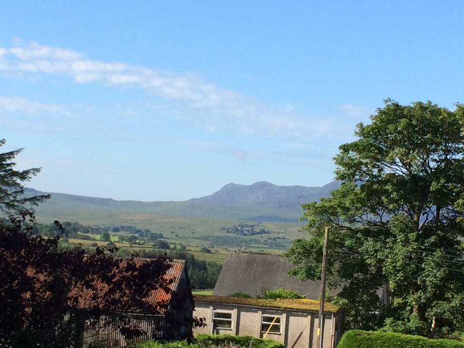 View out of the main bedroom window