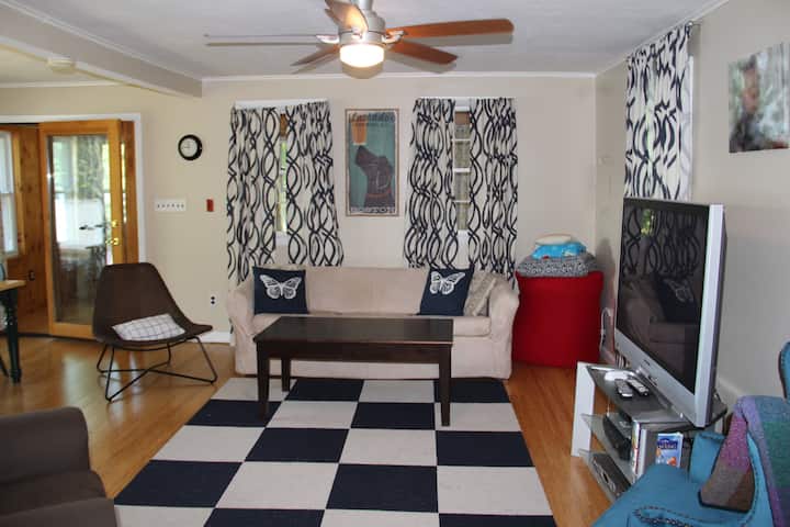 Living Room with Sofa Bed