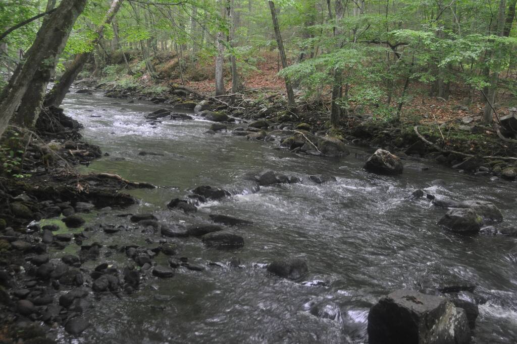 Little River is stocked with trout every spring. Crystal-clean water. It's just a few feet from the house. You can hear the water all night long. Kids LOVE to play in the stream.