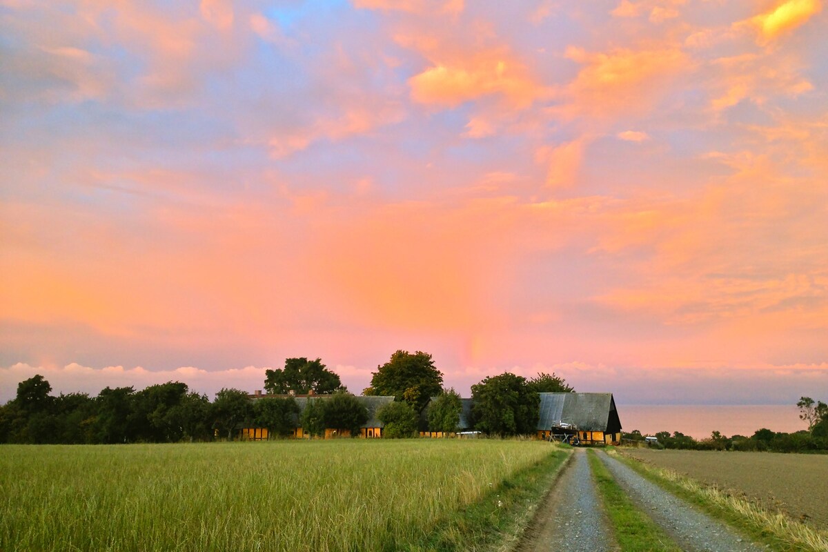 A serene landscape is captured at sunset, showcasing a winding gravel road leading toward a timbered farmhouse. Softly lit clouds in shades of pink and orange hover over the horizon, with lush fields flanking the pathway, creating a peaceful rural scene.