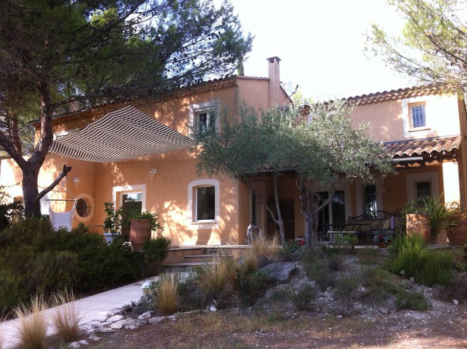 pins et larges terrasses