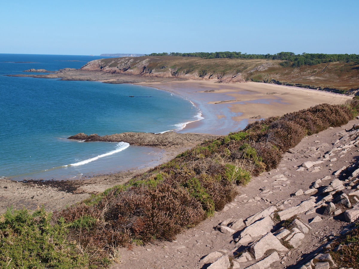 A scenic coastal view showcases a sandy beach bordered by gentle waves and rolling hills. The shoreline curves gracefully, meeting the calm blue sea under a clear sky. Green vegetation and rocky terrain frame the landscape, providing a natural contrast to the sandy beach.