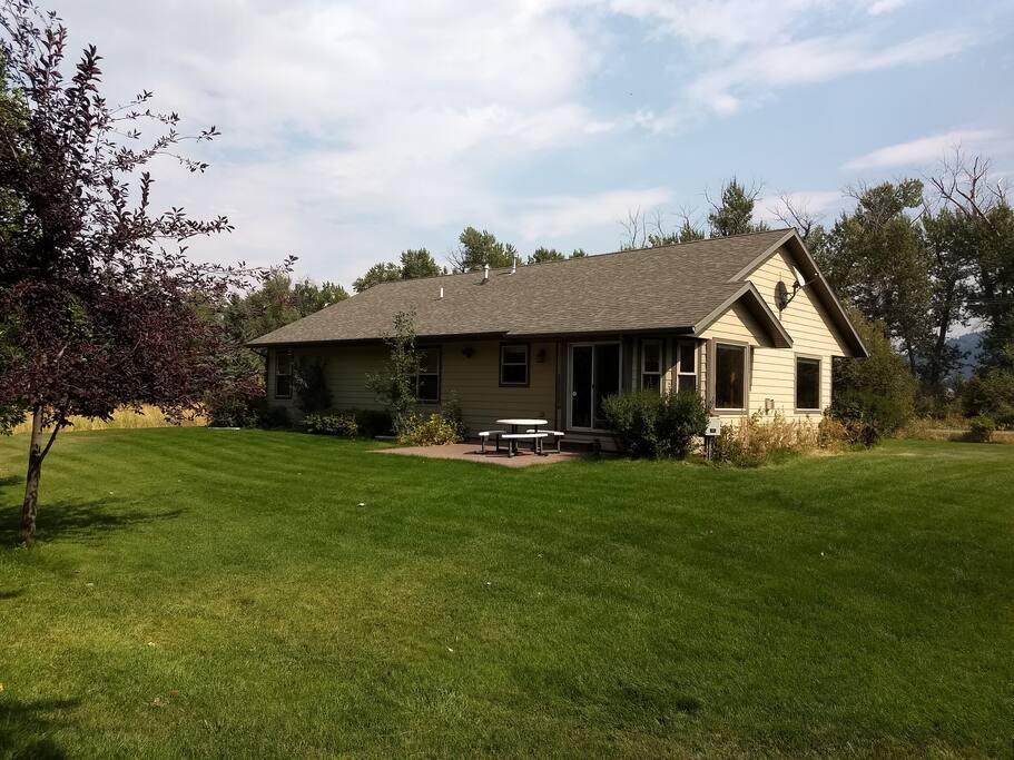 The backyard