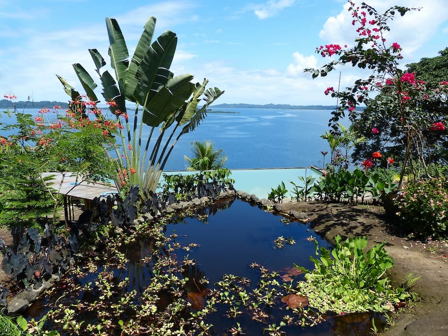 View
