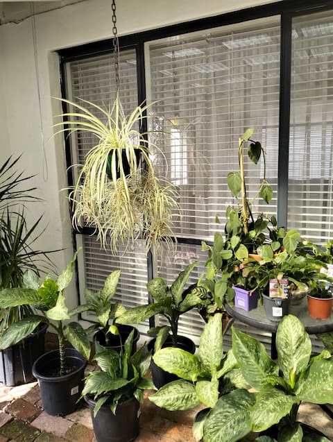 Misty's Beach Haven, chillout, relax.