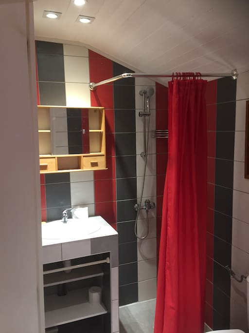 Salle de bain ( Douche + WC)