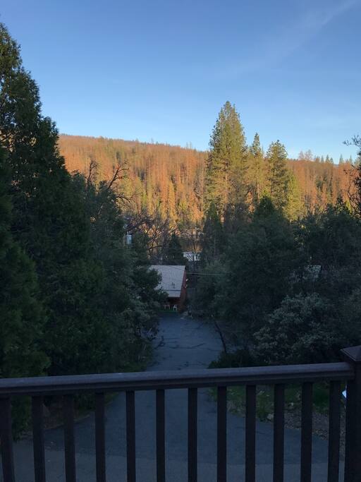 Mini lake view from front deck.