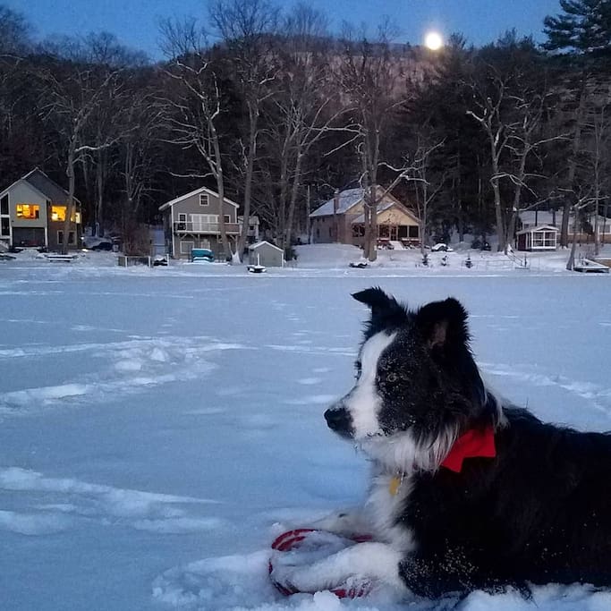 The 1st Super Moon of 2018 rises over the frozen lake and my house glows back on shore.