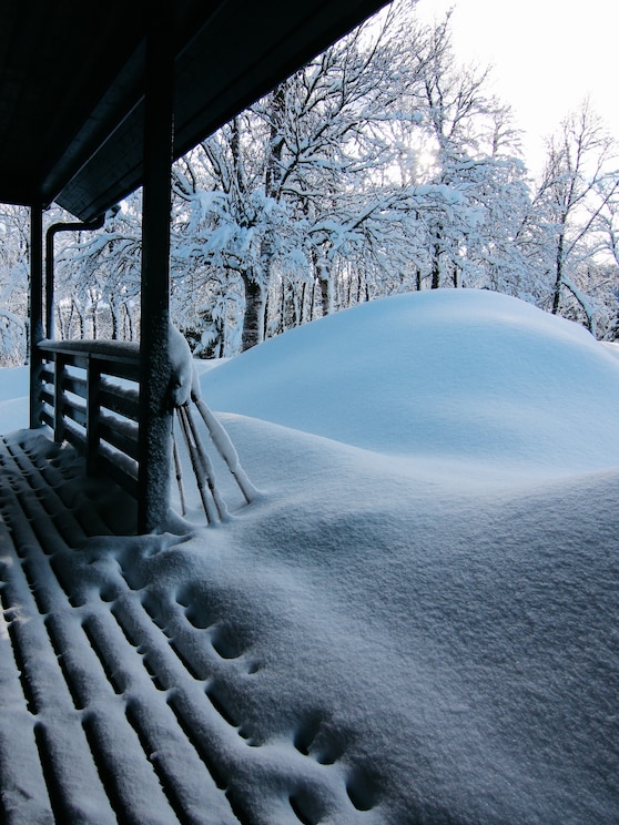 Show full-screen, host-provided image