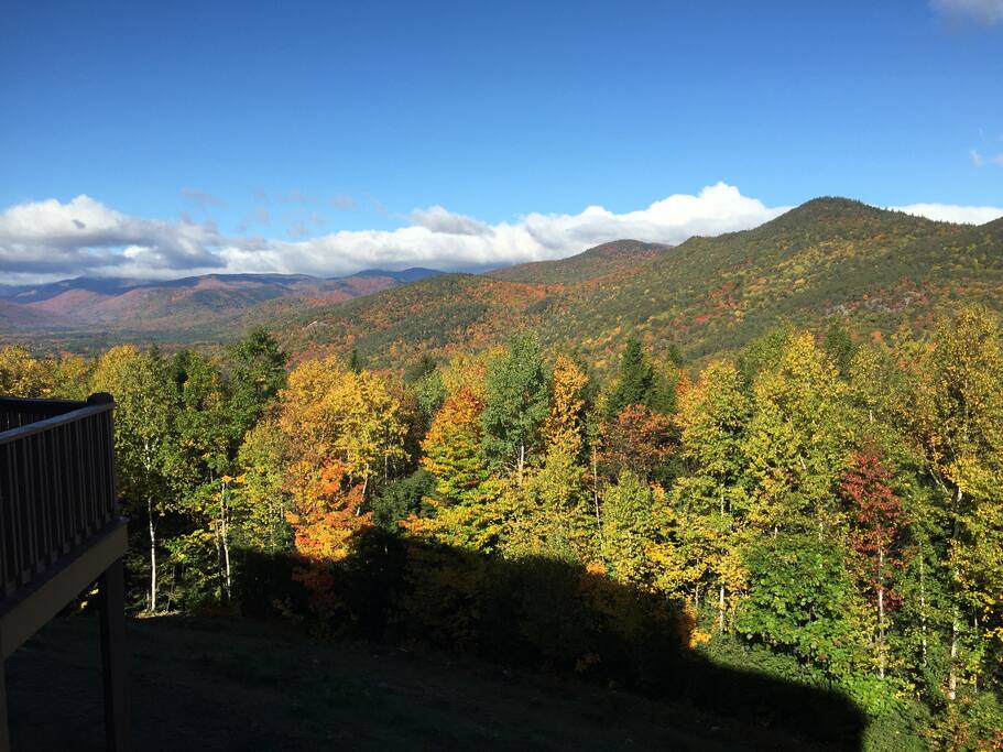 Fall view from deck
