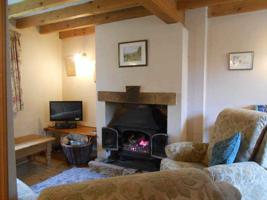 Wood burning stove in lounge