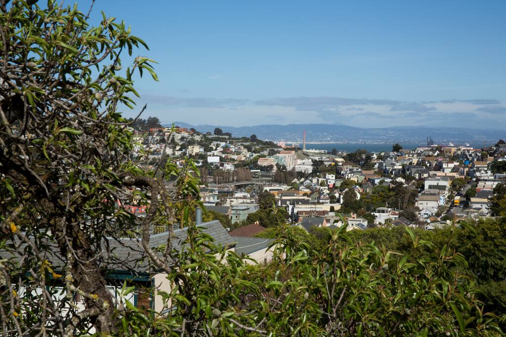 Looking For Room To Rent In San Francisco Looking For Room To Rent In San Francisco