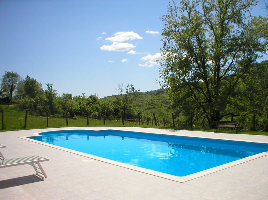 Very large pool 5x10 meters surorunded with great oak tree and olive trees