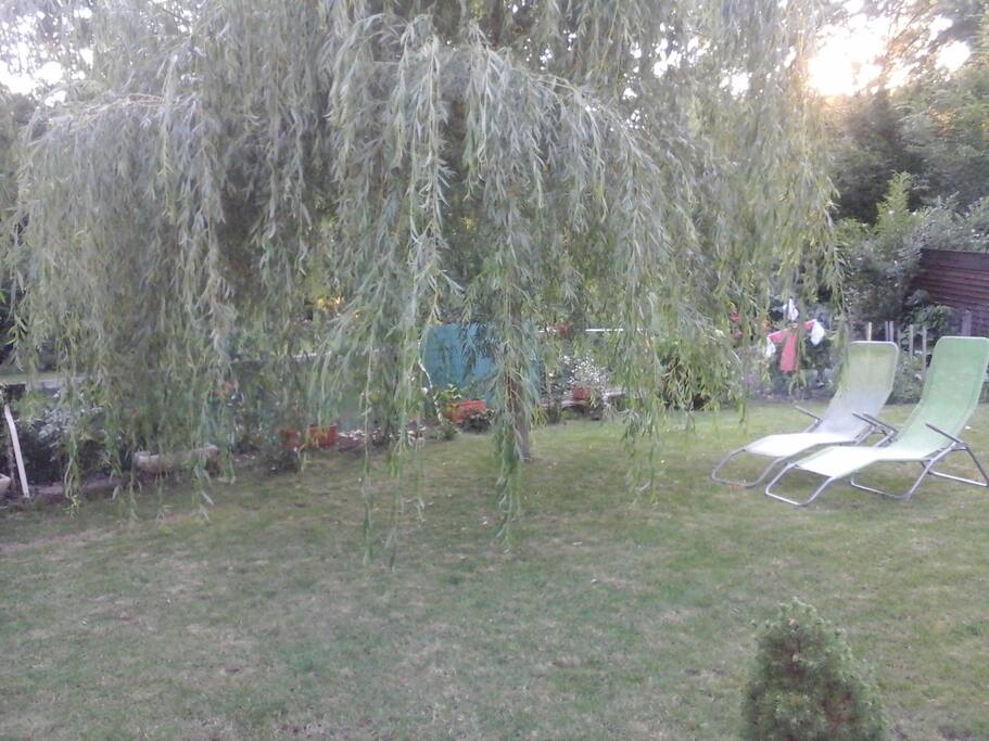 le jardin