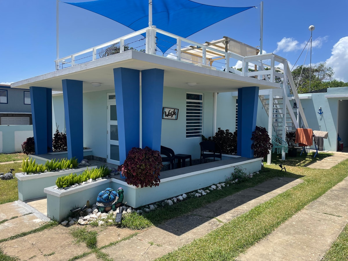 The modern exterior of the property features a shaded terrace and large steps leading to an upper deck. Dark chairs are positioned on the ground level, surrounded by lush greenery and decorative stones. The building's bright blue accents contrast with the light-colored façade.