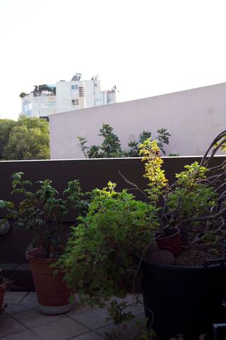 Grand Family Suite with Fabulous Balcony gallery image 4