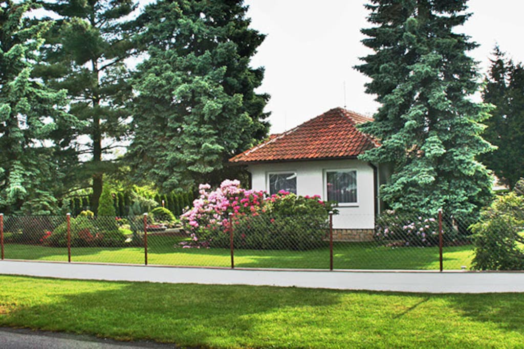 Pohled z ulice / View from the street