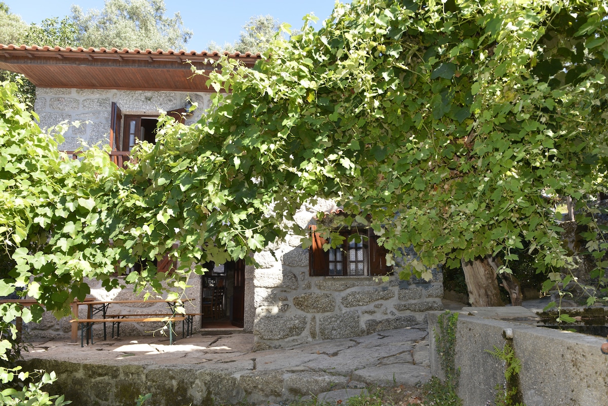 A traditional granite house is partially obscured by lush green vines, offering a natural canopy. Outdoor seating is visible, situated on a stone patio, with a peaceful garden area surrounding the property. Sunlight filters through the leaves, enhancing the serene atmosphere.