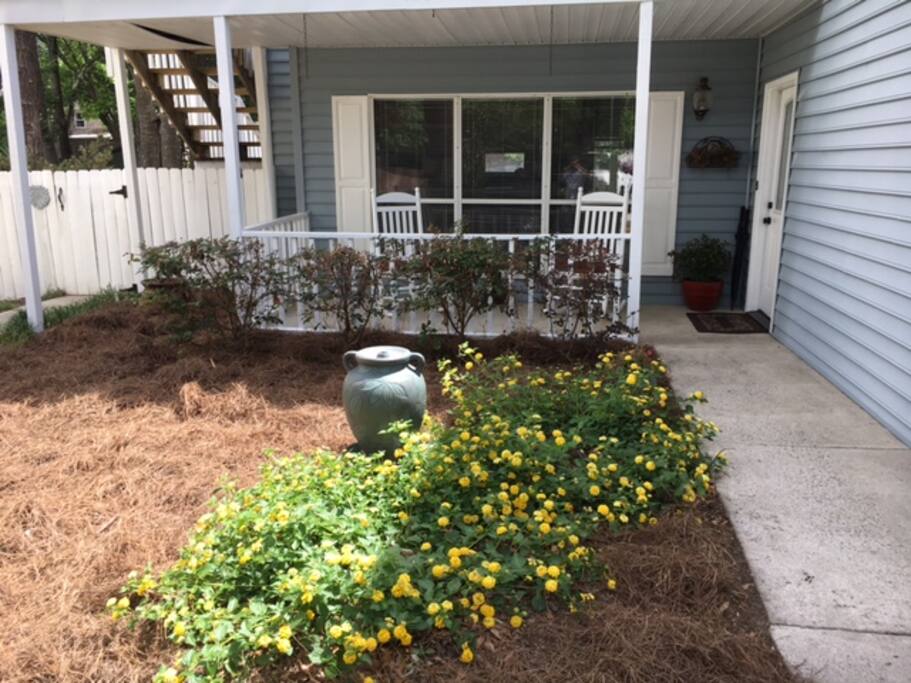 Front Walkway