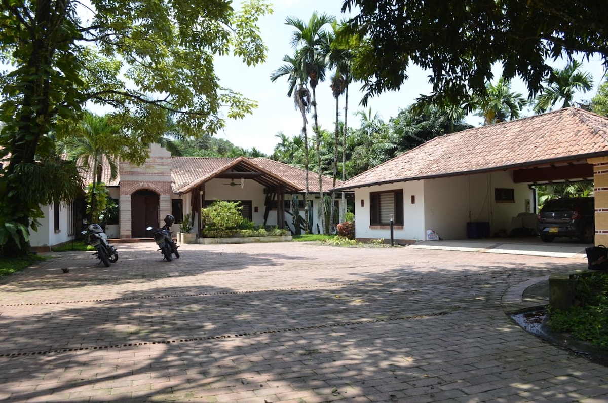 A spacious outdoor area is shown with large paved sections in warm tones, surrounded by lush greenery and palm trees. Two structures with terracotta roofs are visible, along with parked motorcycles. Sunlight filters through the trees, creating areas of shade across the ground.