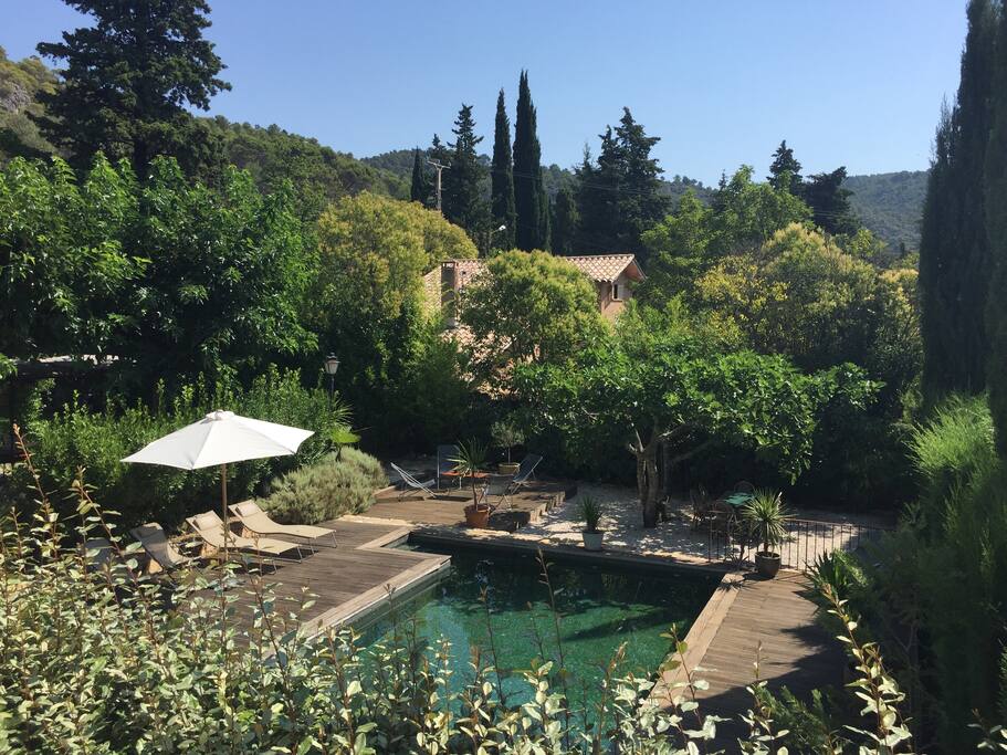 la piscine
