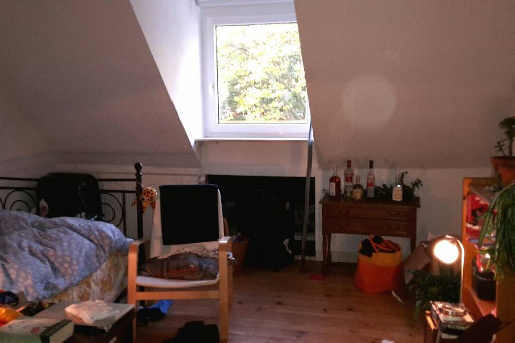 living/bed room