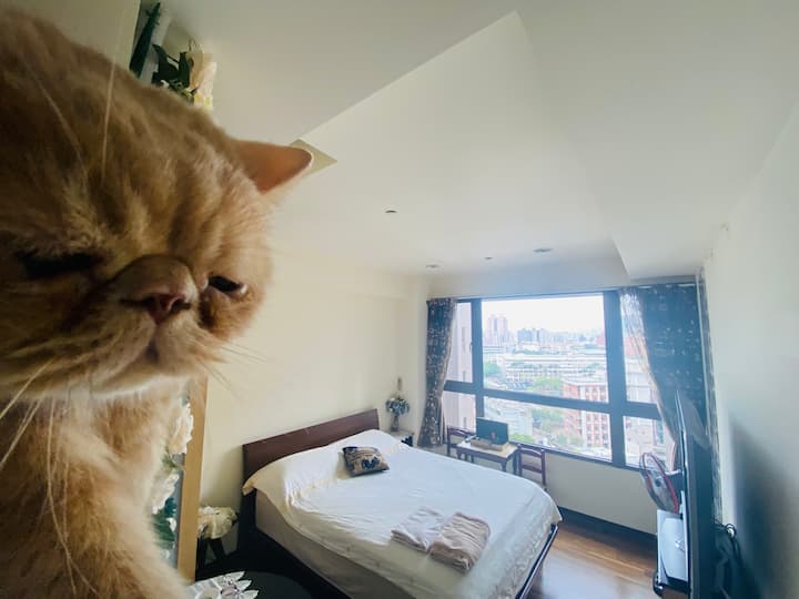 Dudu’先生自拍在第一房間- Mr. Dudu’ selfie in its main room
