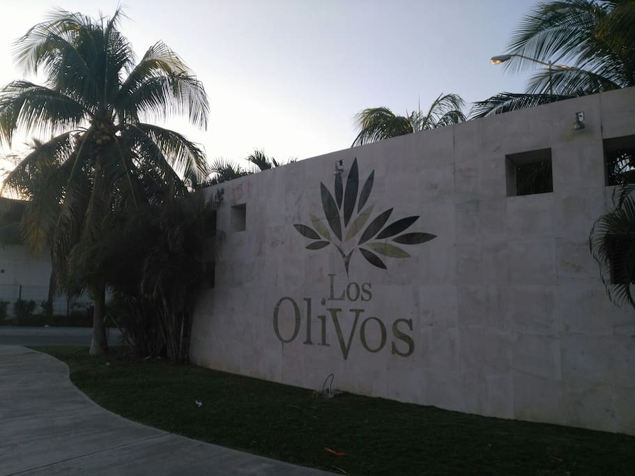 entrada principal a residencial los olivos