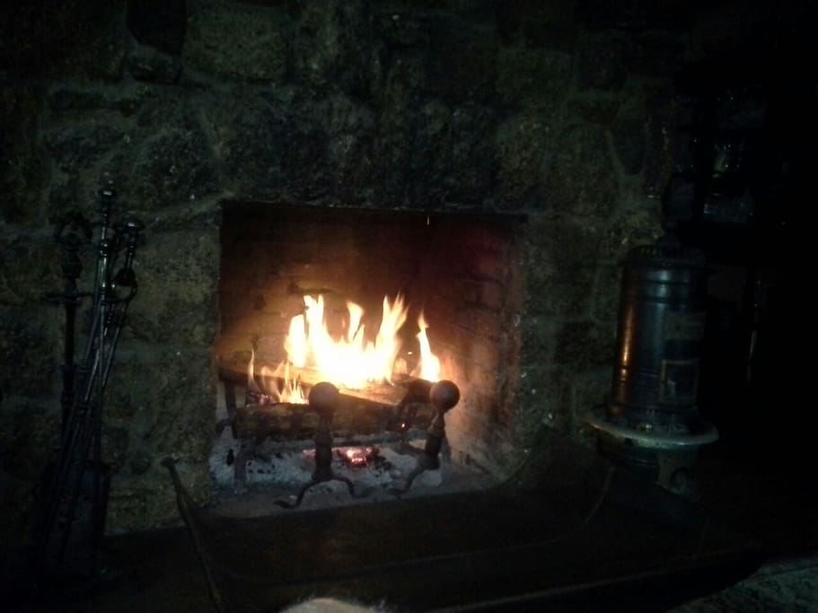 Living room fireplace. If it is cool or damp outside and you would like a fire, not a problem. However I will tend it.