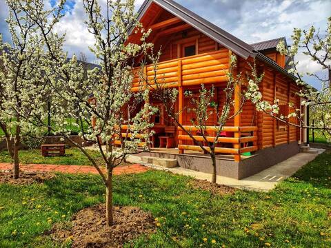 Holiday cottages & food, Plav