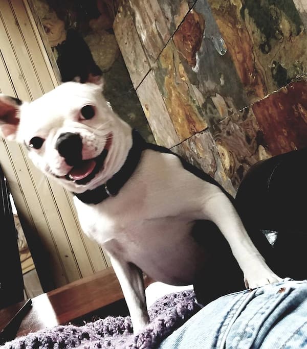 Lola, the house mascot