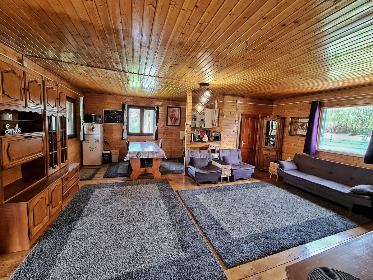 An inviting living area features wooden paneling and a spacious layout. A large dining table is centered, surrounded by comfortable seating. Area rugs cover the wooden floor, and large windows provide natural light, showcasing views of the outside greenery.