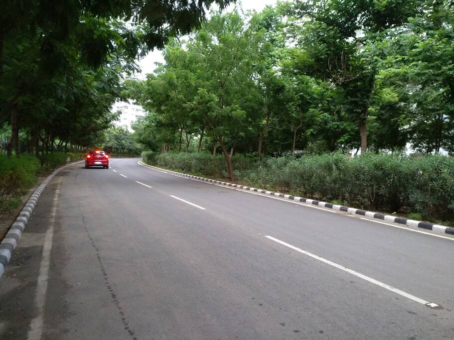 The Approach Road